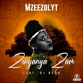 Download track Zinyanya Zam (Radio Edit) DJ Besh