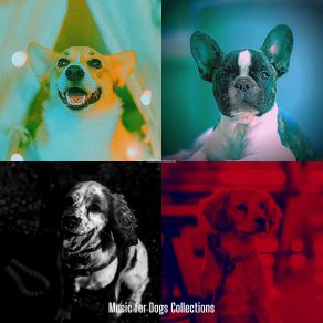 Download track Simple Backdrops For Lonely Dogs Music For Dogs Collections