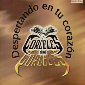 Download track Cartero Los 7 Corceles