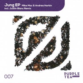 Download track Jung (Justin Blanc Remix) Mike Mac