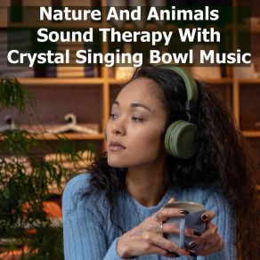 Download track Rain Crystal Sound Bath EzraAlya