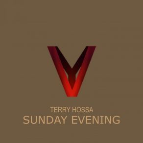 Download track Sunday Evening Terry Hossa