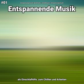 Download track Entspannende Musik Teil 89 Entspannungsmusik