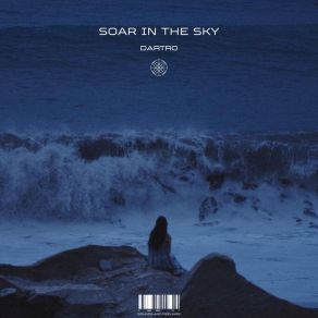 Download track Soar In The Sky Dartro