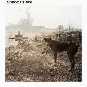 Download track Nobody's Fault But Mine Moroccan Dog