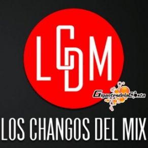 Download track Son Cosas Del Amor Los Changos Del Mix