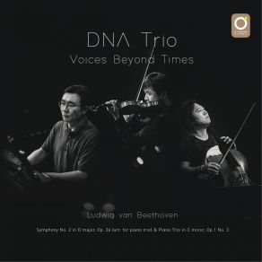 Download track Symphony No. 2 In D Major, Op. 36: II. Larghetto Quasi Andante (Arr. For Piano Trio) DNA Trio