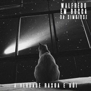 Download track A Verdade Rasga E Dói Walfredo Em Busca Da Simbiose