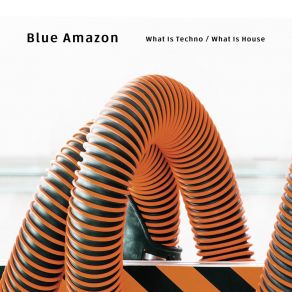 Download track What Is Techno (Mo 'funk Remix) Blue AmazonMo' Funk