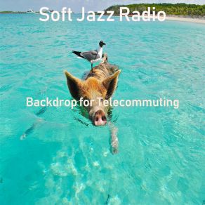 Download track Backdrop For Telecommuting Soft Jazz Radio