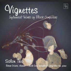 Download track Vignettes: 3. Inca Melody Salon Trio