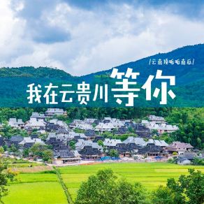 Download track 我在云贵川等你 (DJ光波版) 云南顶呱呱南瓜