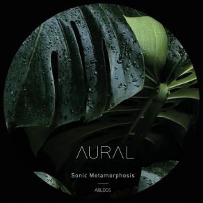 Download track Rufiji's Dark Delta (Agave Sisalana) Aural