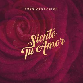 Download track Siento Tu Amor Todo Adoracion