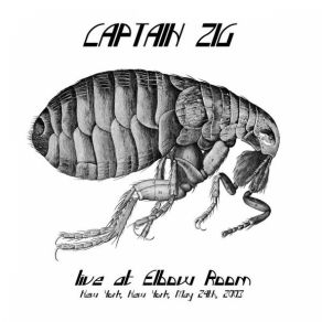 Download track I Learned The Hard Way Captain Zig