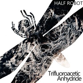 Download track Trifluoroacetic Anhydride (Ramses & Half Robot Bonus Acid Punk Set) Half RobotRamses