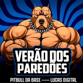 Download track Só Porque Não Te Peguei Lucas Digital