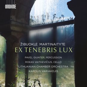 Download track Martinaitytė: Ex Tenebris Lux Lithuanian Chamber Orchestra, Pavel Giunter, Karolis Variakojis, Rokas Vaitkevičius