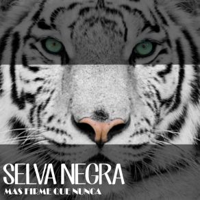 Download track Derrotado Selva Negra