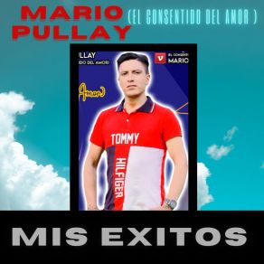 Download track Wuarmi Pensionera Mario Pullay (El Consentido Del Amor)