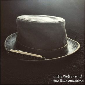 Download track I Love The Life I'm Living (Live) Little Wolter, The Bluesmachine