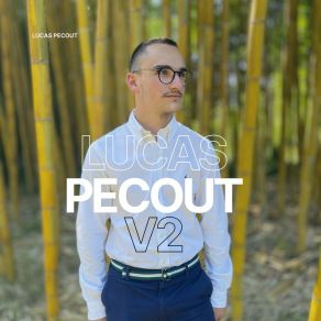 Download track When The Party's Over Lucas Pecout