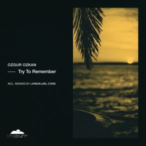 Download track Try To Remember (Corei Remix) Larson (AR)