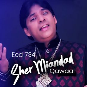 Download track Ya Khawaja Mori Rang Do Chunariya Sher Miandad Qawaal