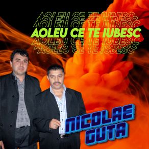 Download track Eu Nu Las Copii Mei Nicolae Guţă