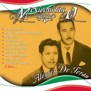 Download track Los Ojos De Pancha (Canción Polka) Los Alegres De Teran