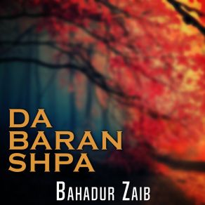 Download track Duniya Ba Sa Karam Bahadur Zaib