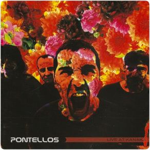 Download track So Che Pioverà (Live) Pontellos