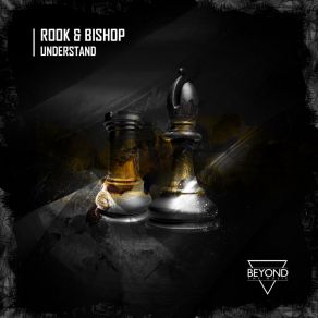 Download track Understand (Original Mix) THE ROOK