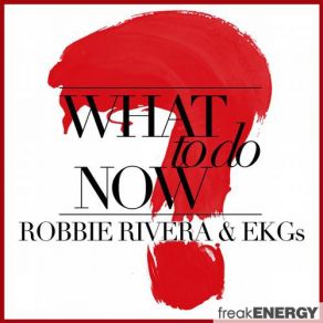 Download track What To Do Now (Maurizio Gubellini & The Delayers Remix) Robbie Rivera, The EKGs