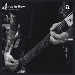 Download track 15-38 Birds In Row