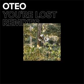 Download track You're Lost (Tender Games Remix) Oteo