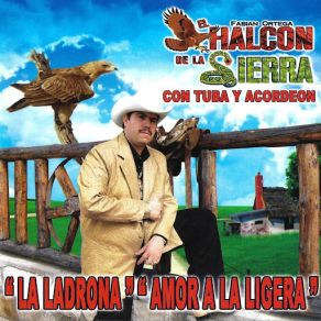 Download track Pero Que Tal Si Te Compro El Halcon De La Sierra