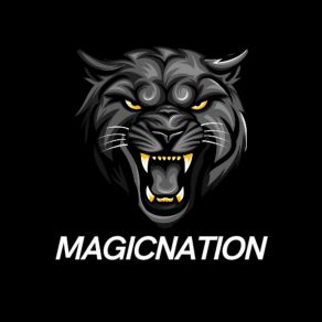 Download track Intro Remix Magicnation