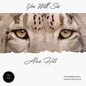 Download track You Will See (Maylo & Josh Remix) Alex Hill