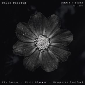 Download track When You Were Real David Preston