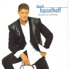 Download track Santa Monica Nights David Hasselhoff