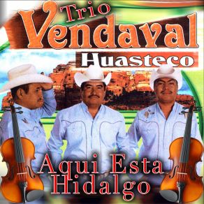 Download track Y Ya Veras Trio Vendaval Huasteco