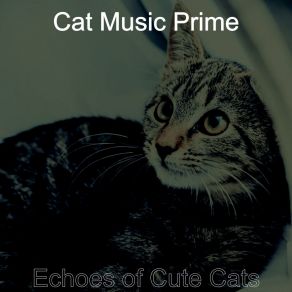 Download track Sublime Backdrops For Relaxing Your Cat Cat Music Prime