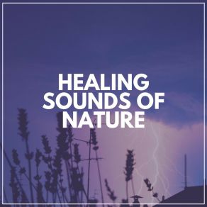 Download track There Is Nothing Better Than A Thunderstorm Thunderstorm Meditation