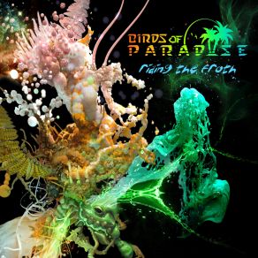 Download track Ultrasound Birds Of Paradise