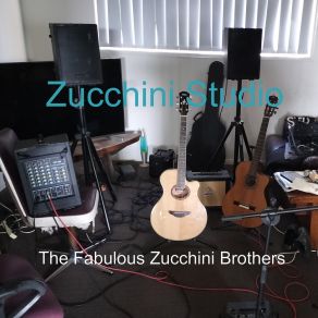 Download track General Consensus The Zucchini Brothers