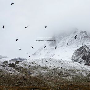 Download track Cerramos Los Ojos E Ignoramos La Realidad Que Se Cernia Sobre Nosotros Bosques De Mi Mente