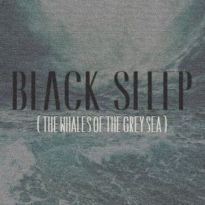 Download track Tiny Pieces Black Sleep