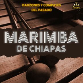 Download track Marimba Al Compas 2 Marimba De ChiapasMarimba