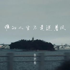 Download track 谁的人生不是逆着风 (伴奏) 张妙格